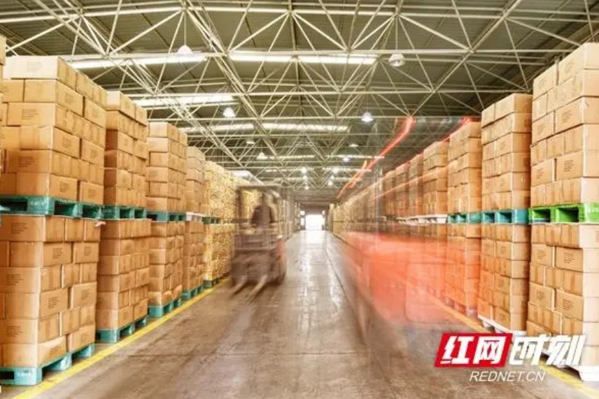 一卷墨香伴春光 長沙“印”象精彩紛呈